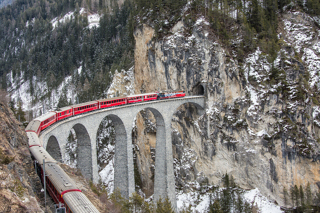 Bernina Express passes over Landwasser Viaduct, UNESCO World Heritage Site, and snowy woods, Filisur, Canton of Grisons Graubunden, Switzerland, Europe