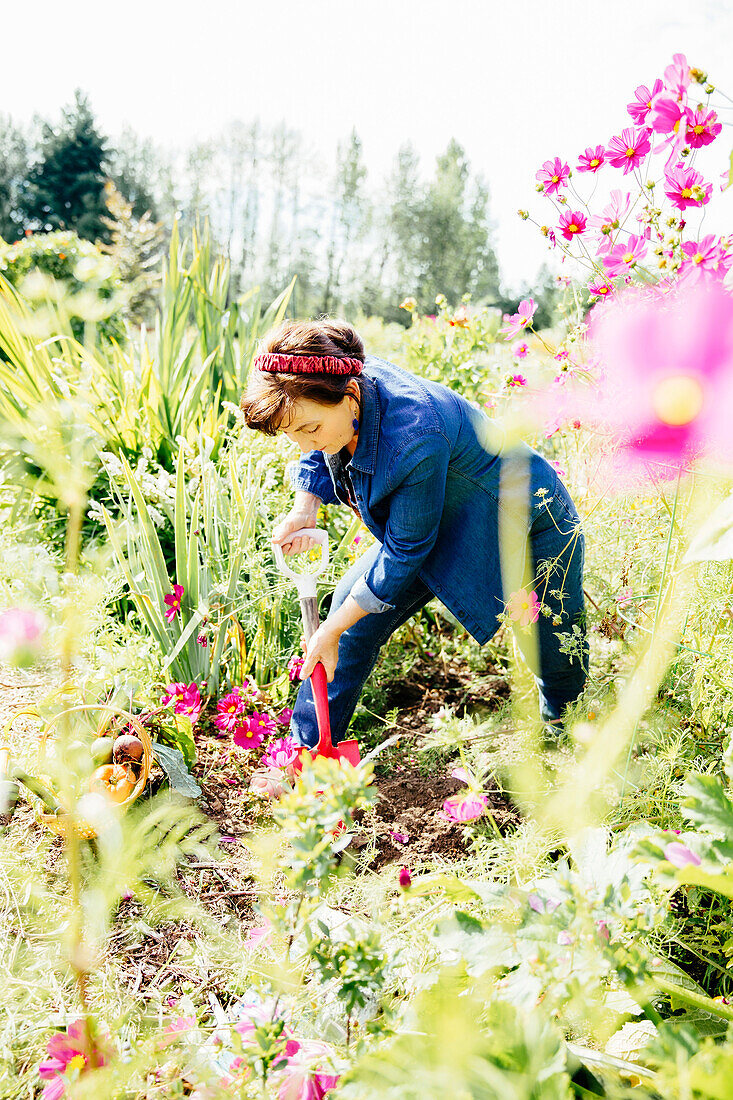 Kaukasische Frau gräbt im Garten