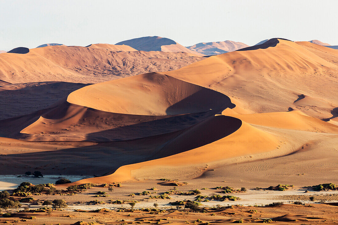 Sand dunes in remote desert