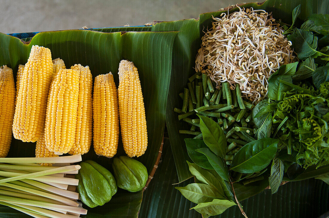 Close up of fresh corn, greens and herbs on counter