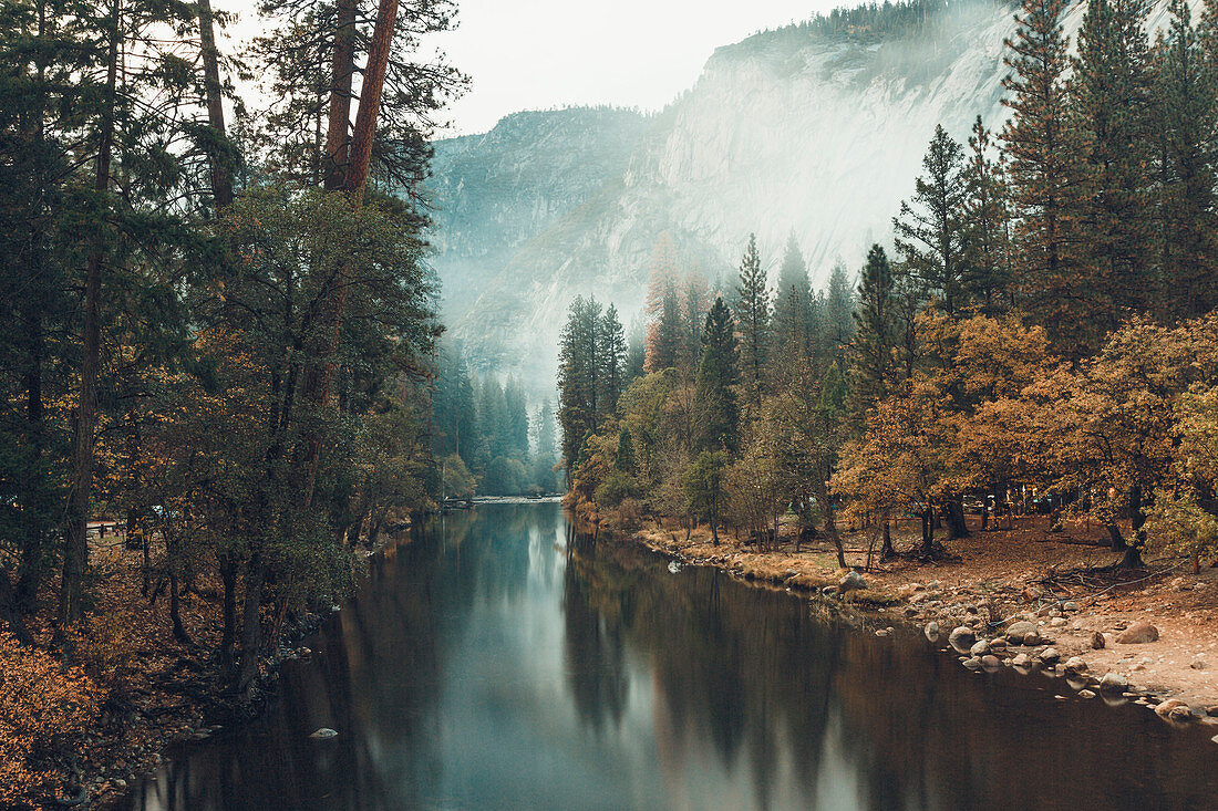 River and Trees with Autumn Foliage, Yosemite National Park, California, USA