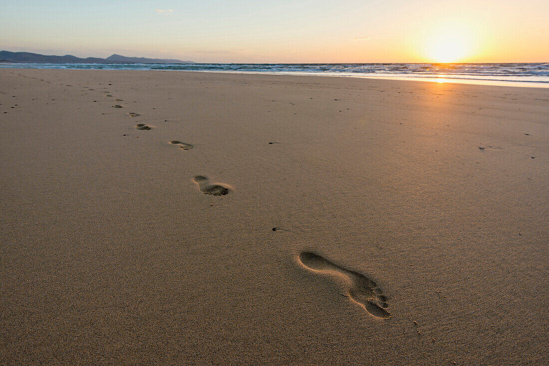 Playa de Sotavento, between Jandia und Costa Calma, Fuerteventura, Canary Islands, Spain