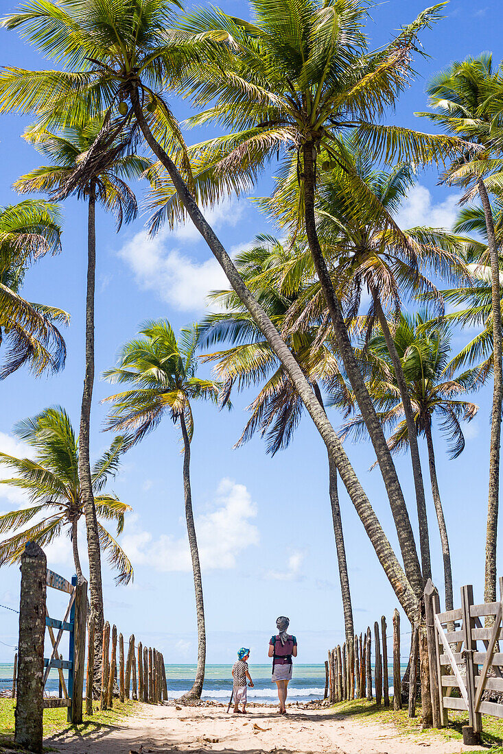 Frau und Kind gehen zum Strand, Palmenweg, Atlantischer Ozean, Paradis, Boipeba, Bahia, Brasilien