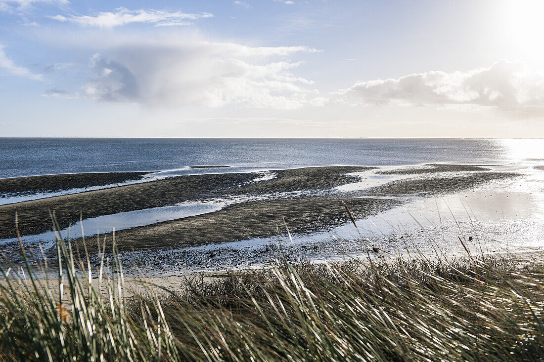 Blick über das Wattenmeer bei List, Insel Sylt, Schleswig-Holstein, Norddeutschland, Deutschland