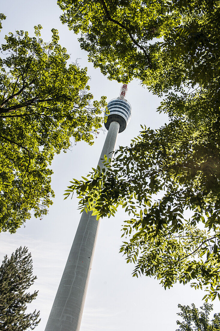 Fernsehturm in Stuttgart, Baden-Württemberg, Süddeutschland, Deutschland