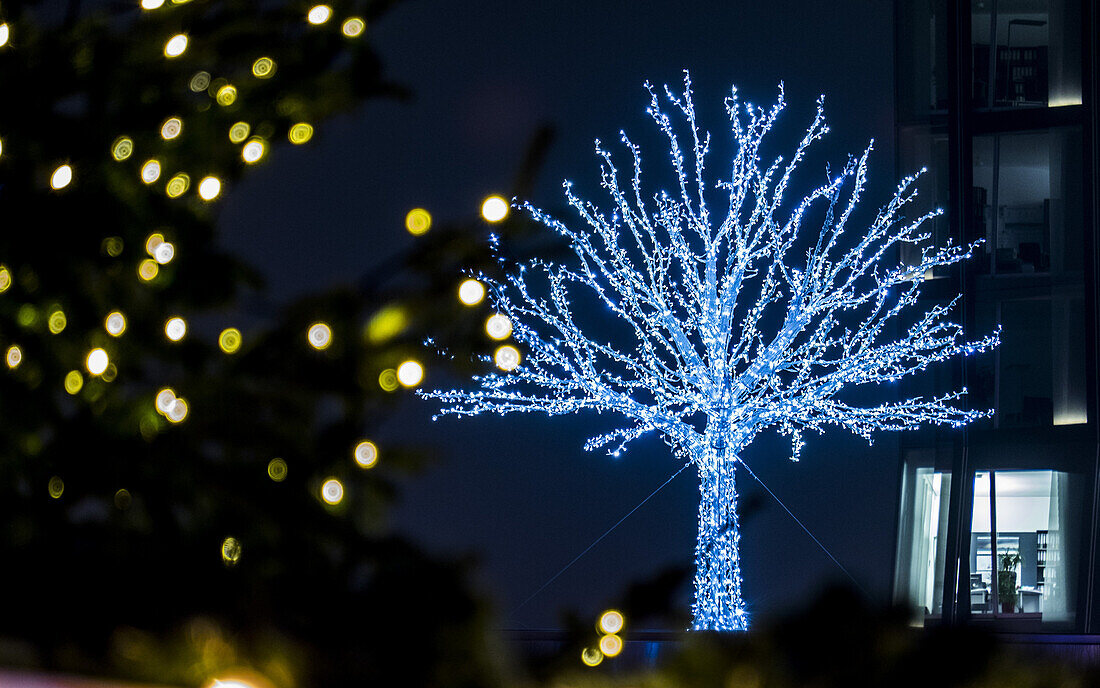 Twinkling Christmas tree on the Reeperbahn in Hamburg, north Germany, Germany