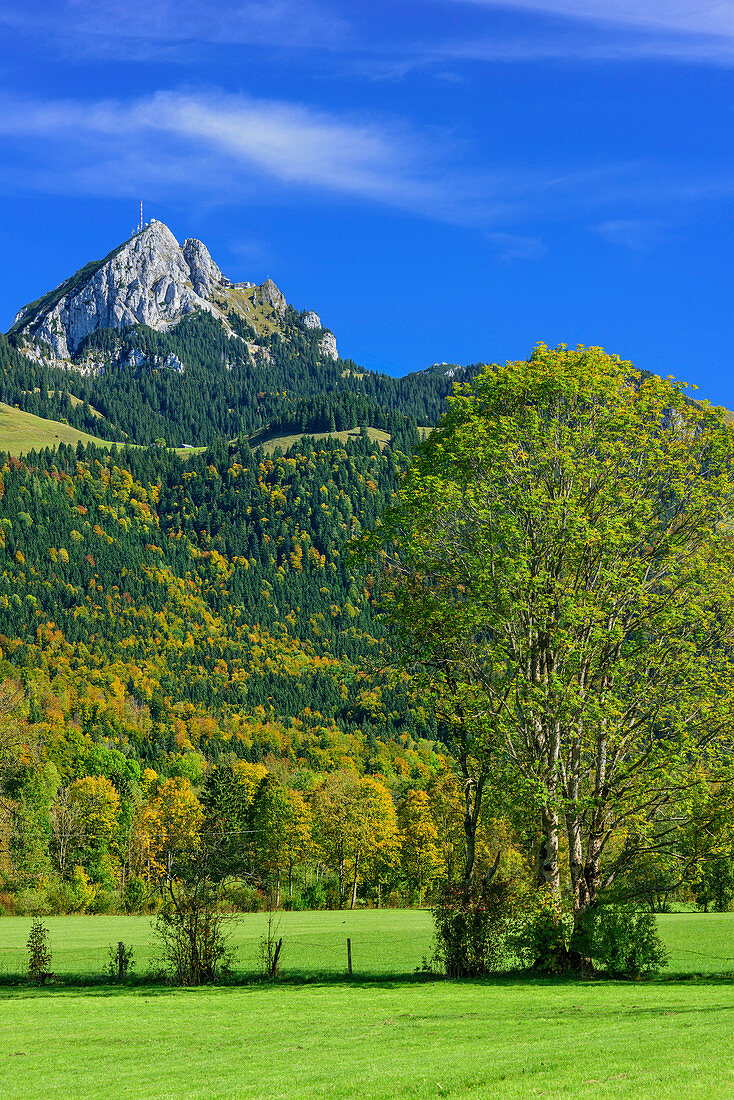 Wendelstein above valley of Leitzach, Mangfall range, Bavarian Alps, Upper Bavaria, Bavaria, Germany