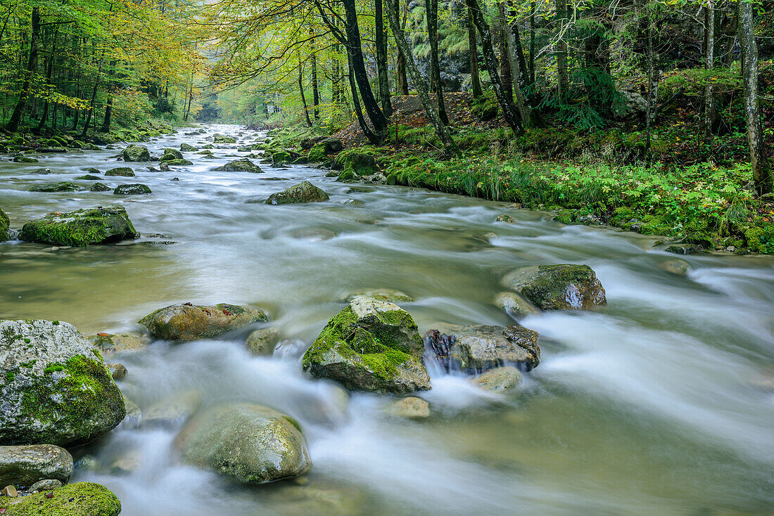 River flowing through valley of Muehltal, Chiemgau, Chiemgau Alps, Upper Bavaria, Bavaria, Germany