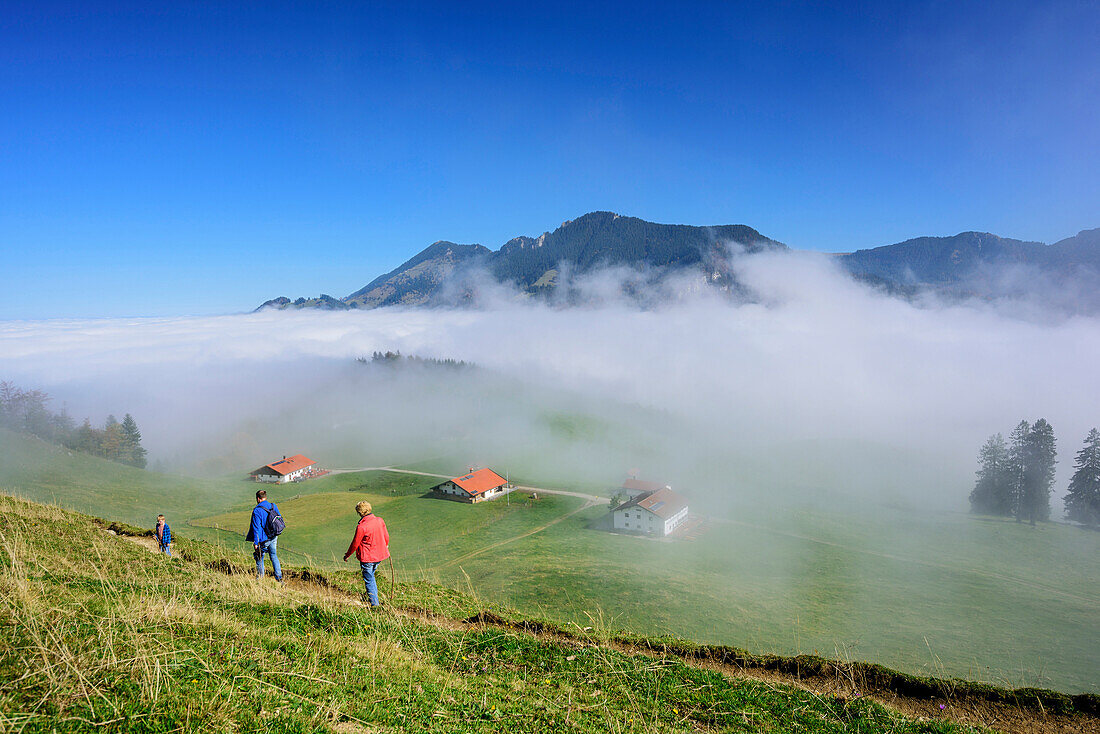 Personen wandern auf Almen zu, Nebelstimmung überm Tal, Hochries im Hintergrund, Heuberg, Chiemgau, Chiemgauer Alpen, Oberbayern, Bayern, Deutschland
