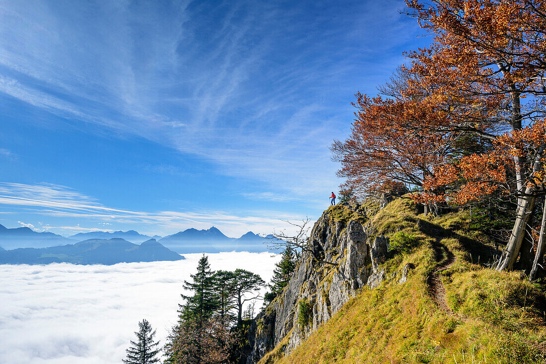 Woman standing at rock cliff and looking towards fog in valley of Inn, Wendelstein in background, view from Heuberg, Heuberg, Chiemgau, Chiemgau Alps, Upper Bavaria, Bavaria, Germany
