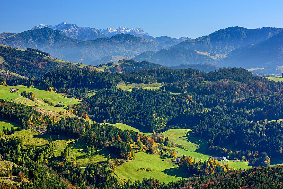 Erlerberg with farmhouses and Loferer Steinberge range in background, view from Kranzhorn, Kranzhorn, Chiemgau Alps, Tyrol, Austria