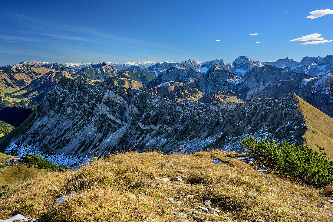 Karwendel range in autumn, view from Schafreiter, Schafreiter, Natural Park Karwendel, Alpenpark Karwendel, Karwendel, Tyrol, Austria