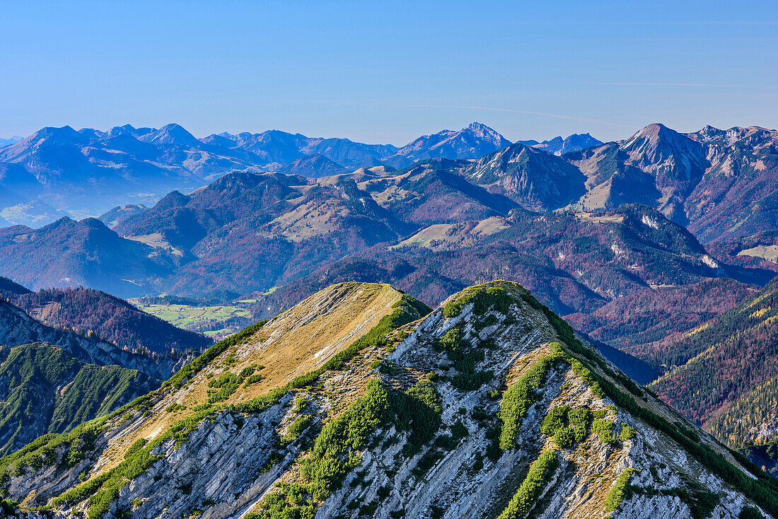 Blick auf Reifelberge im Vordergrund und Hochmiesing, Wendelstein und Geigelstein im Hintergrund, Blick vom Sonntagshorn, Sonntagshorn, Chiemgauer Alpen, Salzburg, Österreich