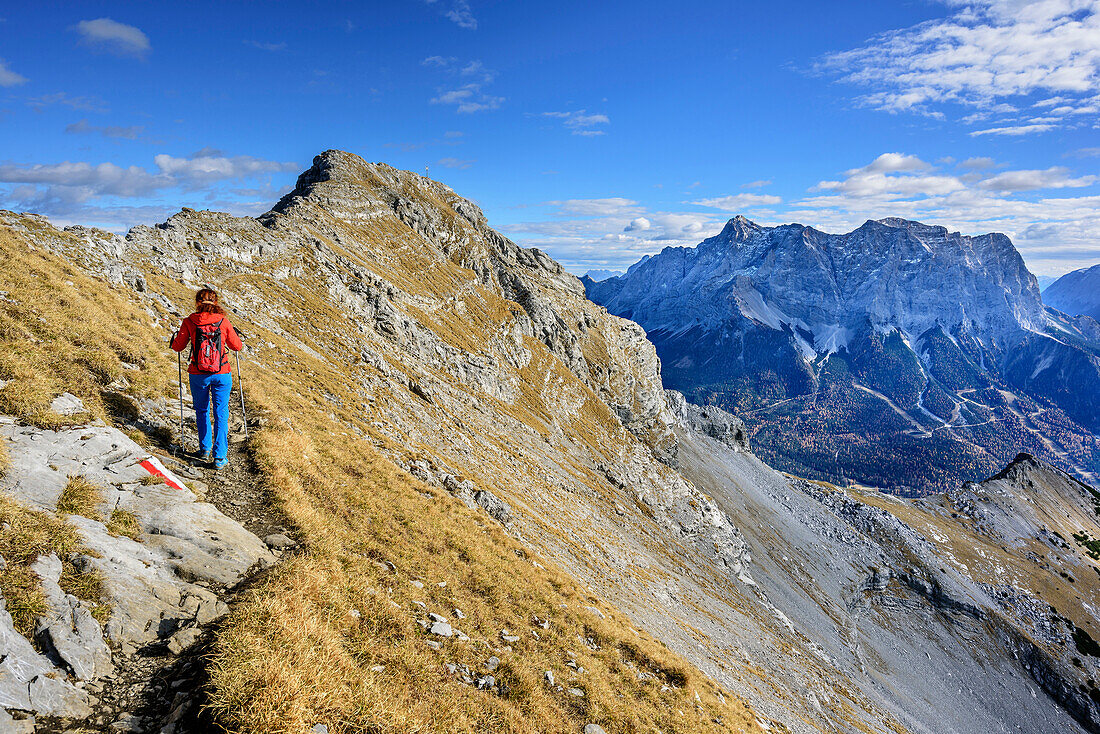 Aufstieg zum Daniel, hinten Zugspitze, Ammergauer Alpen, Ammergebirge, Tirol, Österreich