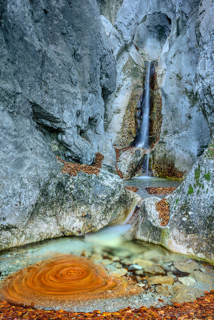 Herbstlaub bewegt sich in Gebirgsbach, Bayerische Alpen, Oberbayern, Bayern, Deutschland