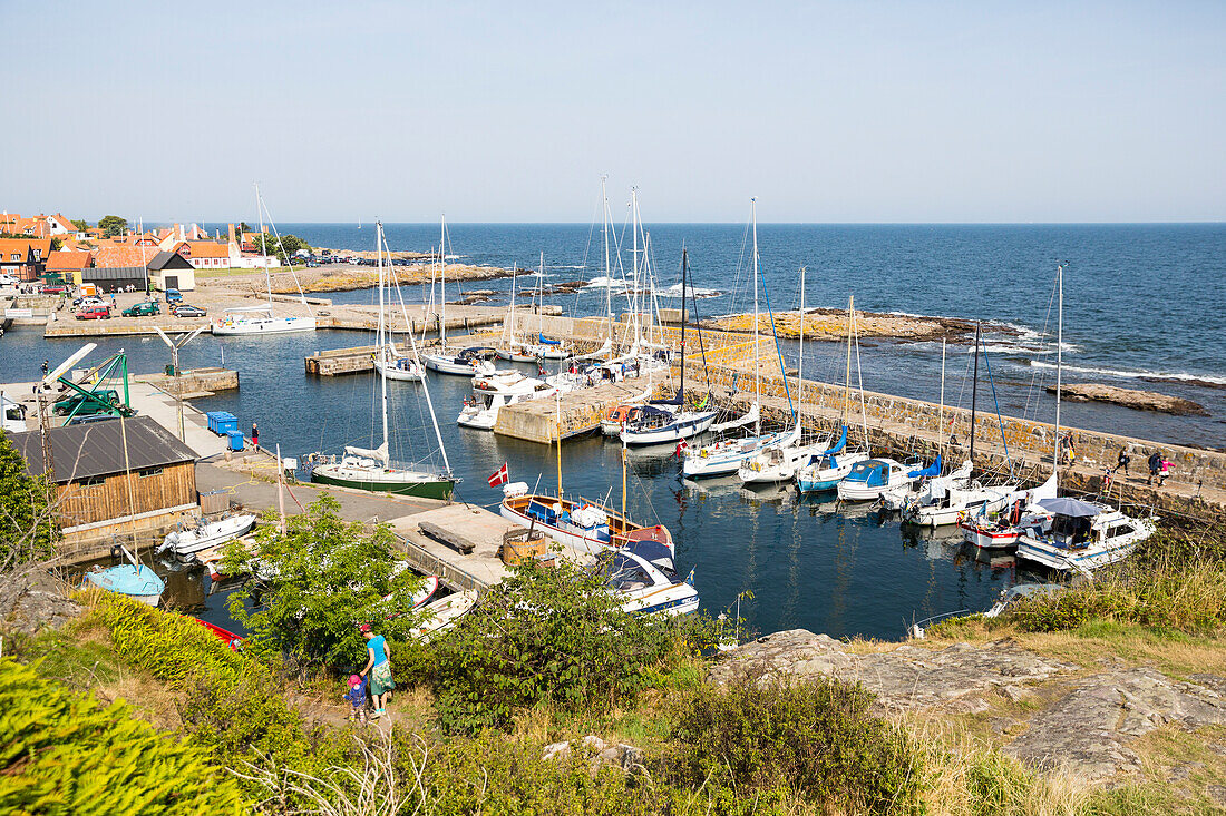 Sailing boats in Gudhjem harbour, Baltic sea, Bornholm, Gudhjem, Denmark, Europe