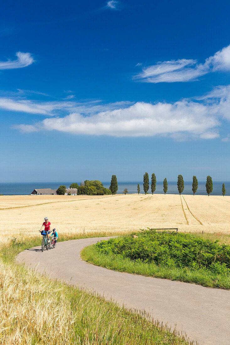 Fahrradtour, Mutter und Sohn machen eine Radtour an Weizenfelder vorbei, Kornfeld, dänische Ostseeinsel, Ostsee, Insel MR, Bornholm, bei Gudhjem, Dänemark, Europa