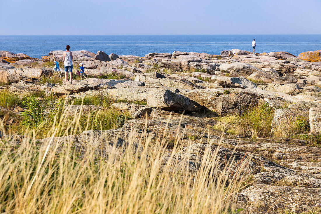 Family walking along the rocky shore, Summer, Baltic sea, Bornholm, Svaneke, Denmark, Europe