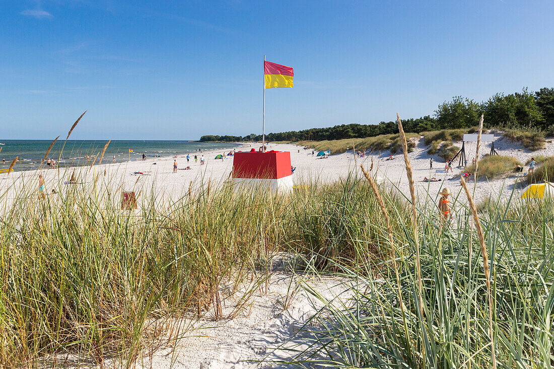 Balka Beach, popular bay with sandy beach, summer, Baltic sea, Bornholm, near Snogebaek, Denmark, Europe