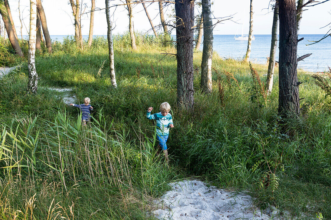 Kinder laufen durch den Birkenwald am Strand, Traumstrand zwischen Strandmarken und Dueodde, Sommer, dänische Ostseeinsel, Ostsee, MR, Insel Bornholm, Strandmarken, Dänemark, Europa