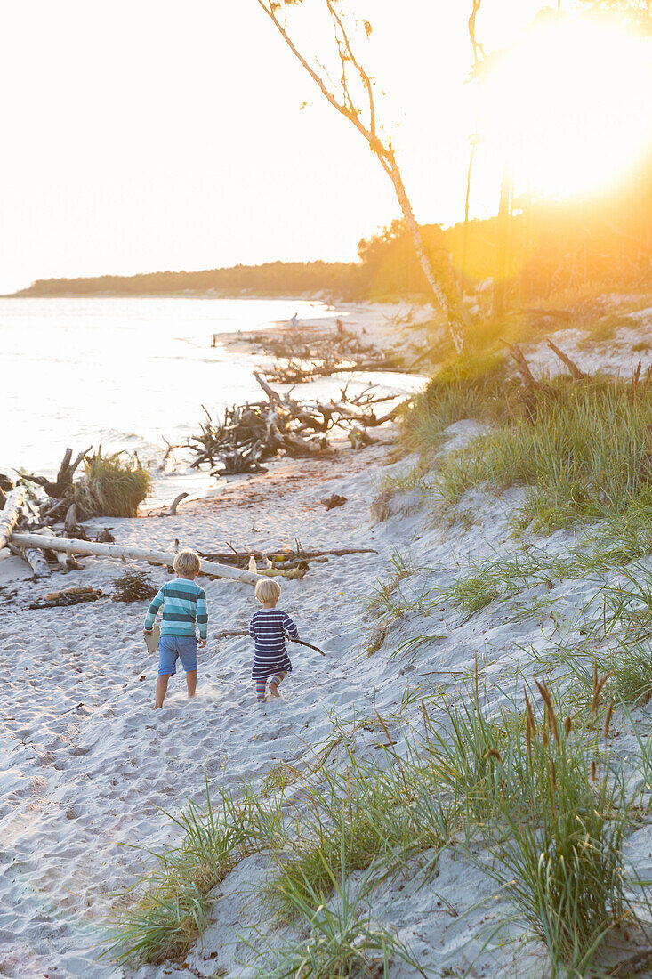 Children walking along the beach at sunset, dream beach between Strandmarken und Dueodde, adventure, sandy beach, summer, Baltic sea, Bornholm, Strandmarken, Denmark, Europe