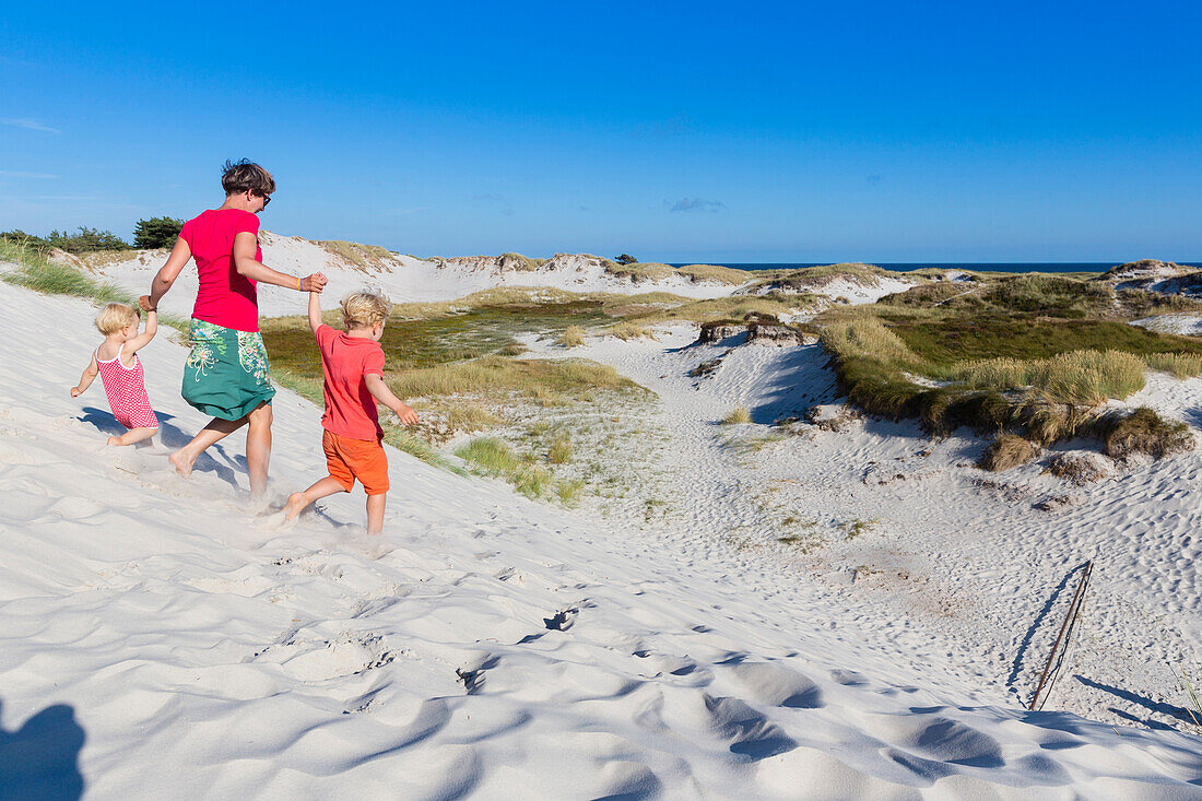 Young family, walking through the dunes of Dueodde, sandy beach, Summer, Baltic sea, Bornholm, Dueodde, Denmark, Europe, MR