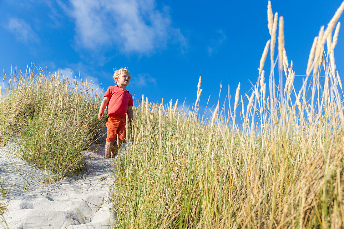 Boy in the dunes at Dueodde, sandy beach, Summer, Baltic sea, Bornholm, Dueodde, Denmark, Europe