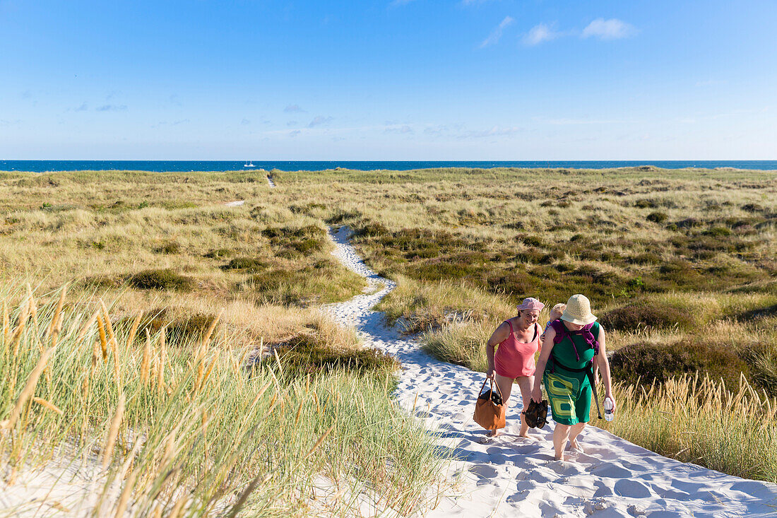 Dream beach and dunes of Dueodde, sandy beach, Summer, Baltic sea, Bornholm, Dueodde, Denmark, Europe