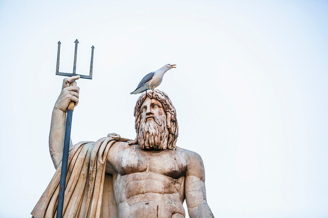Statue of a male figure with beard and pitchfork and a bird perched on it's head, Fountain of Neptune, People's Square, Rome, Italy