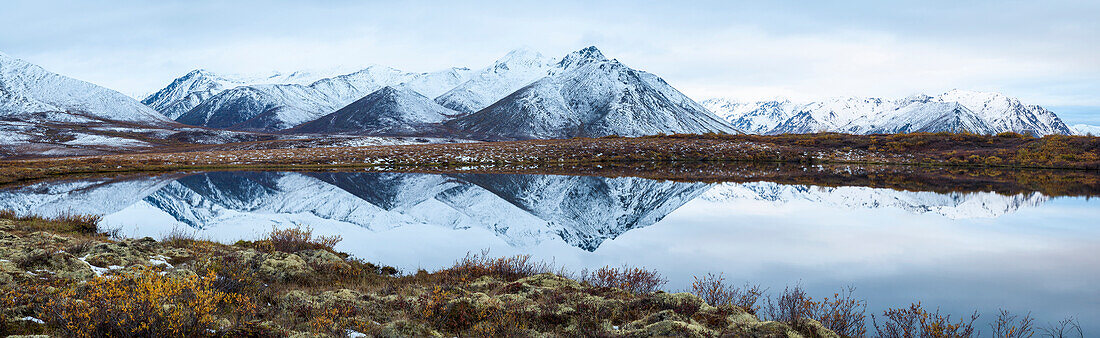 Mount Adney reflected in a pond along the Dempster Highway in the northern Yukon, Yukon, Canada