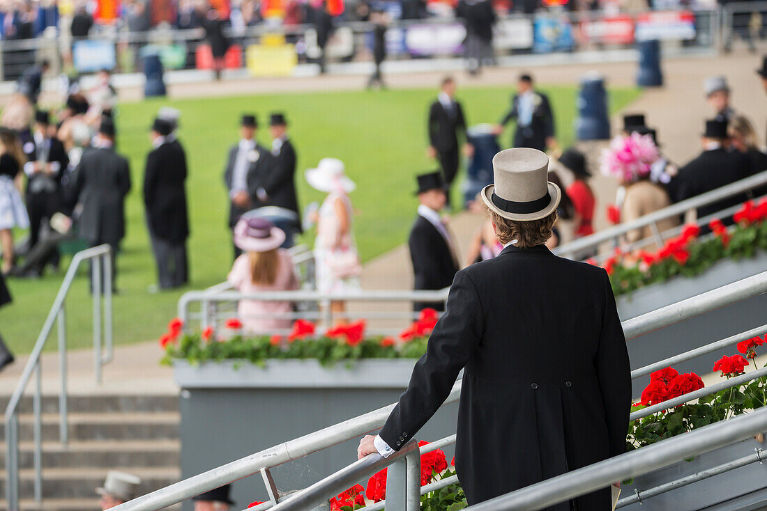 Seen from behind in the foreground, a man in black tails and a grey top hat is standing on the steps, looking over at the people in tails and summer dresses on one of the lawns in the Royal Enclosure at Royal Ascot, Ascot, England