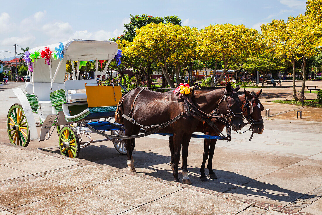 Horse-drawn carriage tour, Granada, Nicaragua