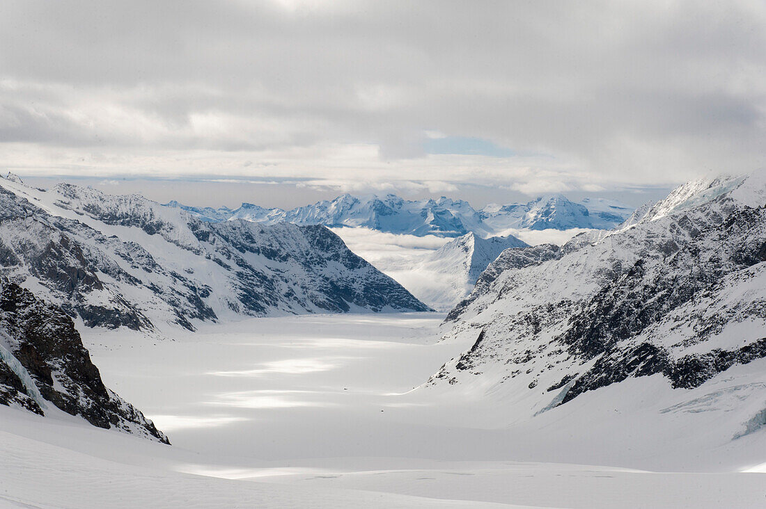 Aletsch Glacier, Jungfraujoch, a UNESCO … – License image – 71080550 ...