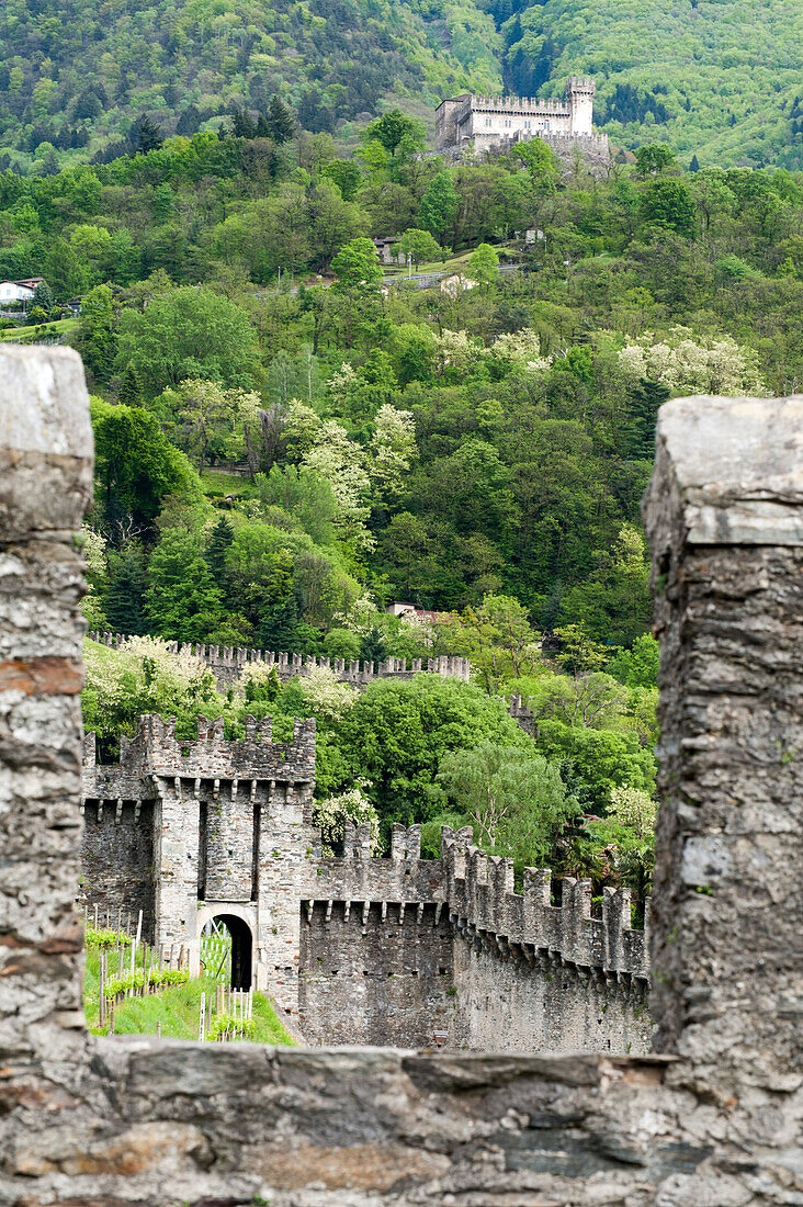 Stadtmauer, Befestigungsanlage, UNESCO Welterbestätte Drei Burgen sowie Festungs- und Stadtmauern von Bellinzona, Tessin, Schweiz