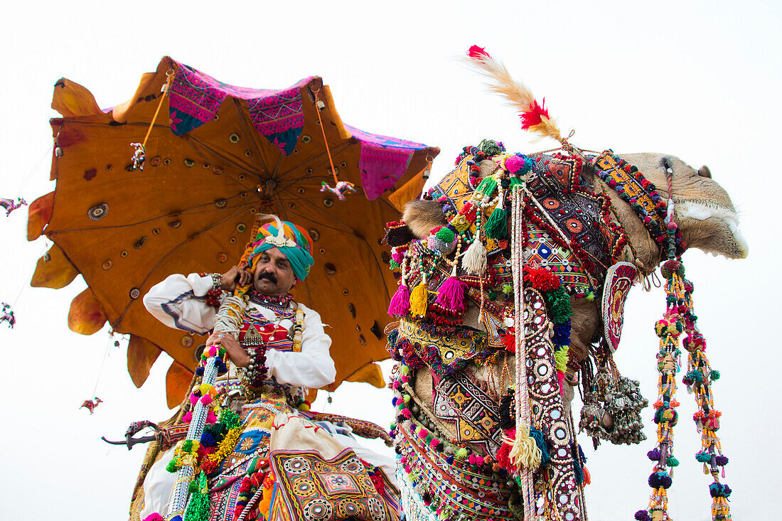 Inder auf einem reich geschmückten Kamel, Wüstenfestival in Jaisalmer, Rajasthan, Indien