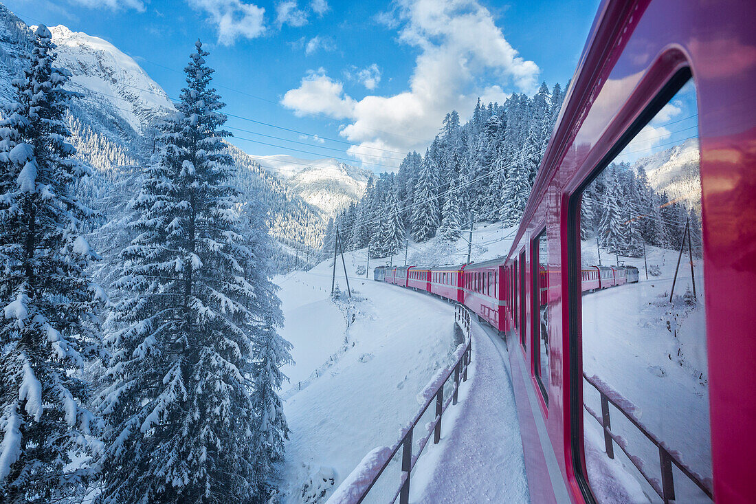 Bernina Express passes through the snowy woods, Filisur, Canton of Grisons Graubunden, Switzerland, Europe