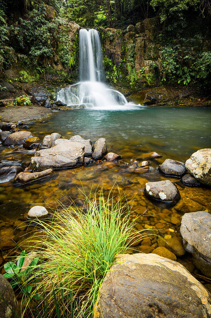 Waiau Falls, Coromandel Peninsula, North Island, New Zealand, Pacific