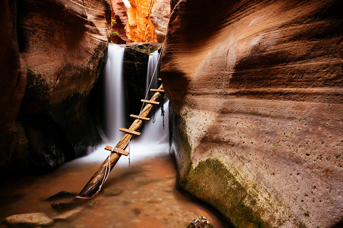 Kanarra Creek Canyon, Kanarraville, Utah, United States of America, North America