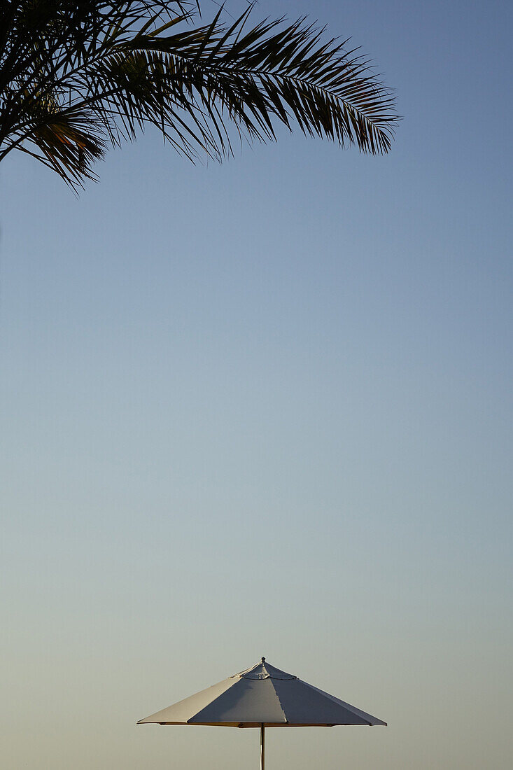 Sonnenschirm, Palme, Abu Dhabi, Vereinigte Arabische Emirate, VAE