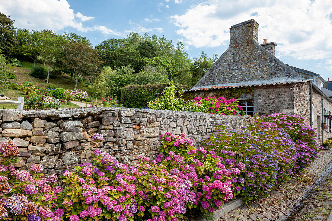 Garten und Blumen, Steinhäuser in Vauville, Normandie, Frankreich, Europa