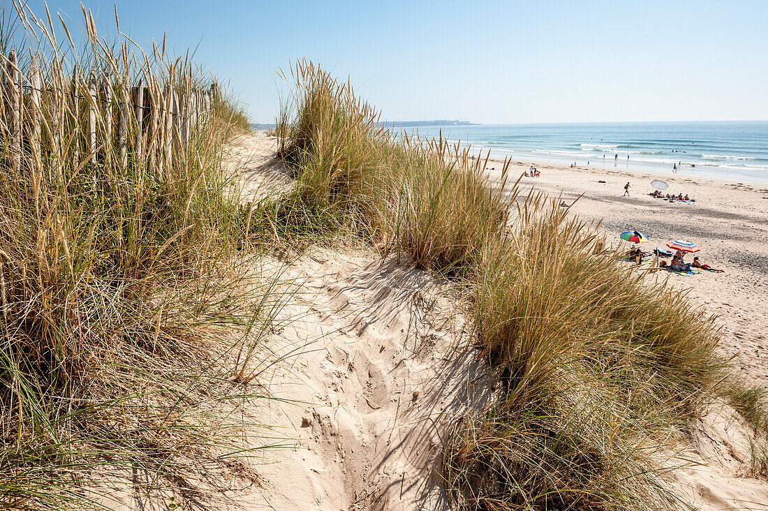 Dunes and beach at Baubigny, Normandy, France, Europe, Atlantic Ocean