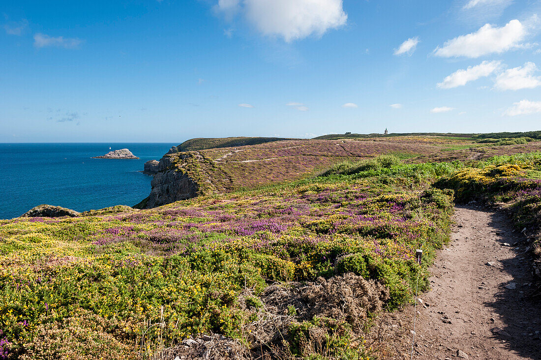 Steilküste bei Pont de l´Etang, Cap Frehel, Côte d´Emeraude, Nordbretagne, Bretagne, Frankreich, Europa