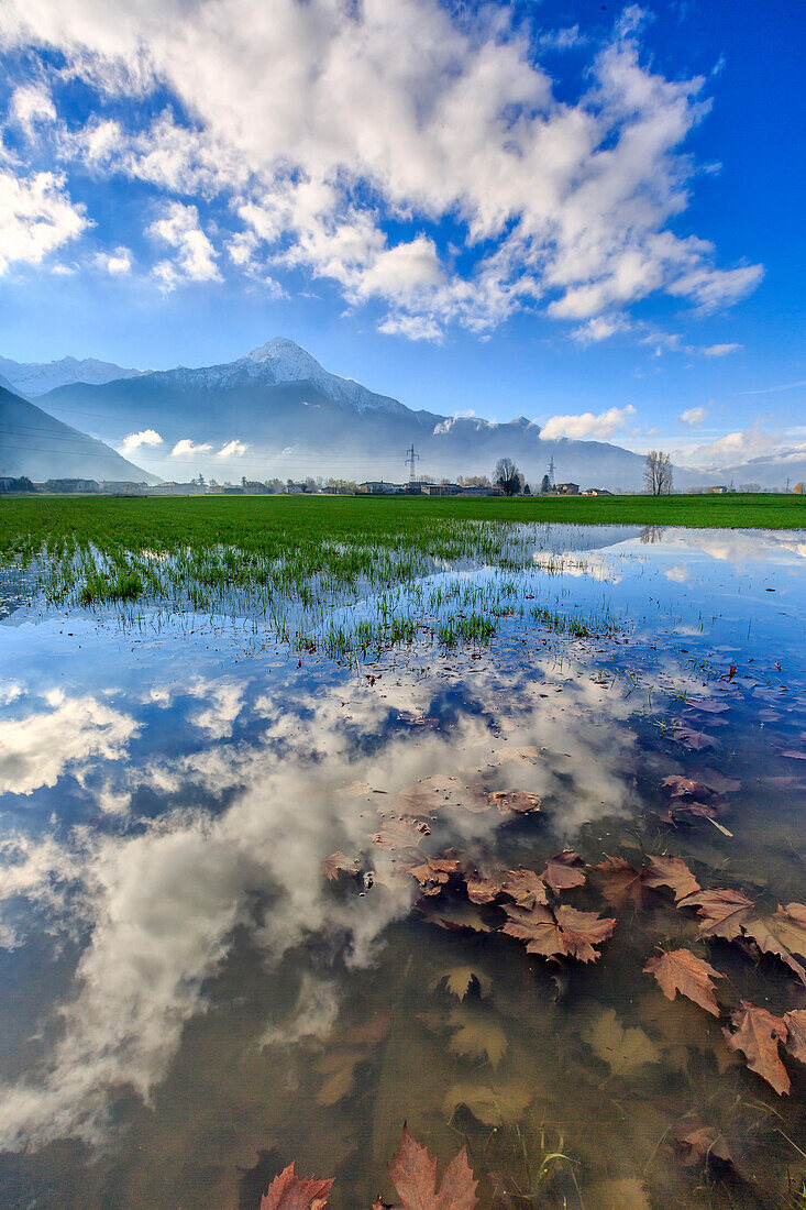 The natural reserve of Pian di Spagna flooded with Mount Legnone reflected in the water, Valtellina, Lombardy, Italy, Europe