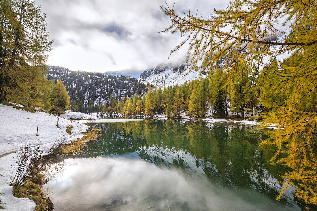 Colorful trees and snowy woods reflected in Lai da Palpuogna, Albula Pass, Engadine, Canton of Graubunden, Switzerland, Europe