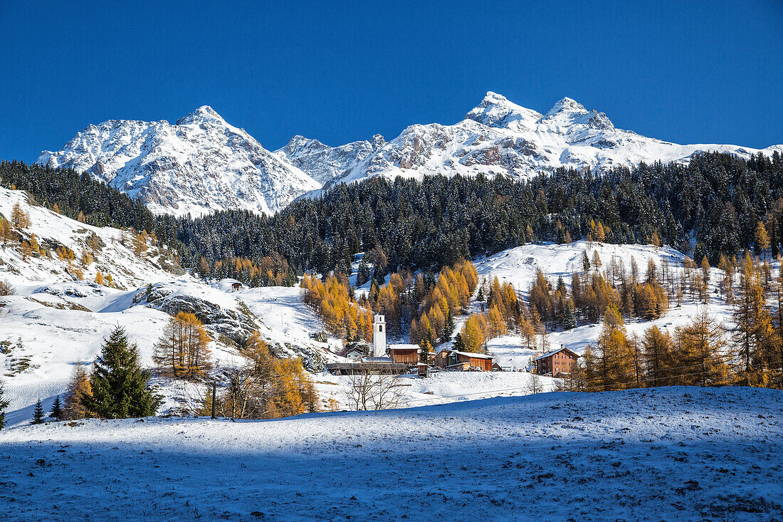 Snowy landscape and colorful trees in the small village of Sur, Val Sursette, Canton of Graubunden, Switzerland, Europe