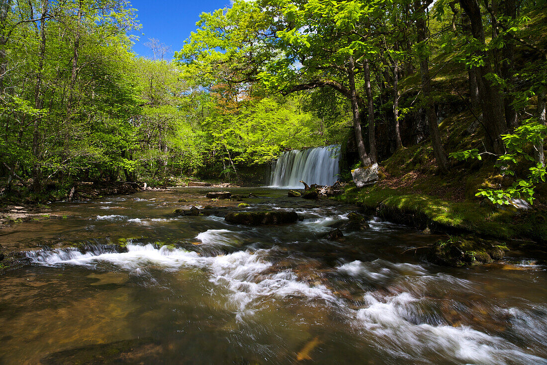 Sgwd Ddwli Uchaf, waterfall on Afon Nedd Fechan, near Ystradfellte, Brecon Beacons, National Park, Wales, United Kingdom, Europe