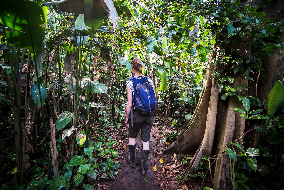 Amazon Jungle trek on Monkey Island Isla de los Monos, Tambopata National Reserve, Peru, South America