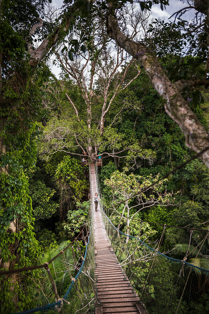 Amazon Jungle swinging rope bridge in Puerto Maldonado area, Peru, South America