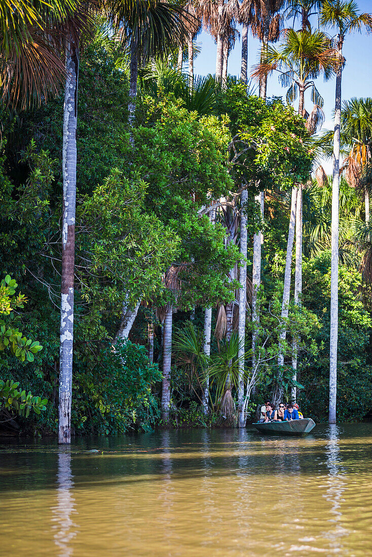Canoe boat trip on Sandoval Lake, Tambopata National Reserve, Amazon Jungle of Peru, Peru, South America