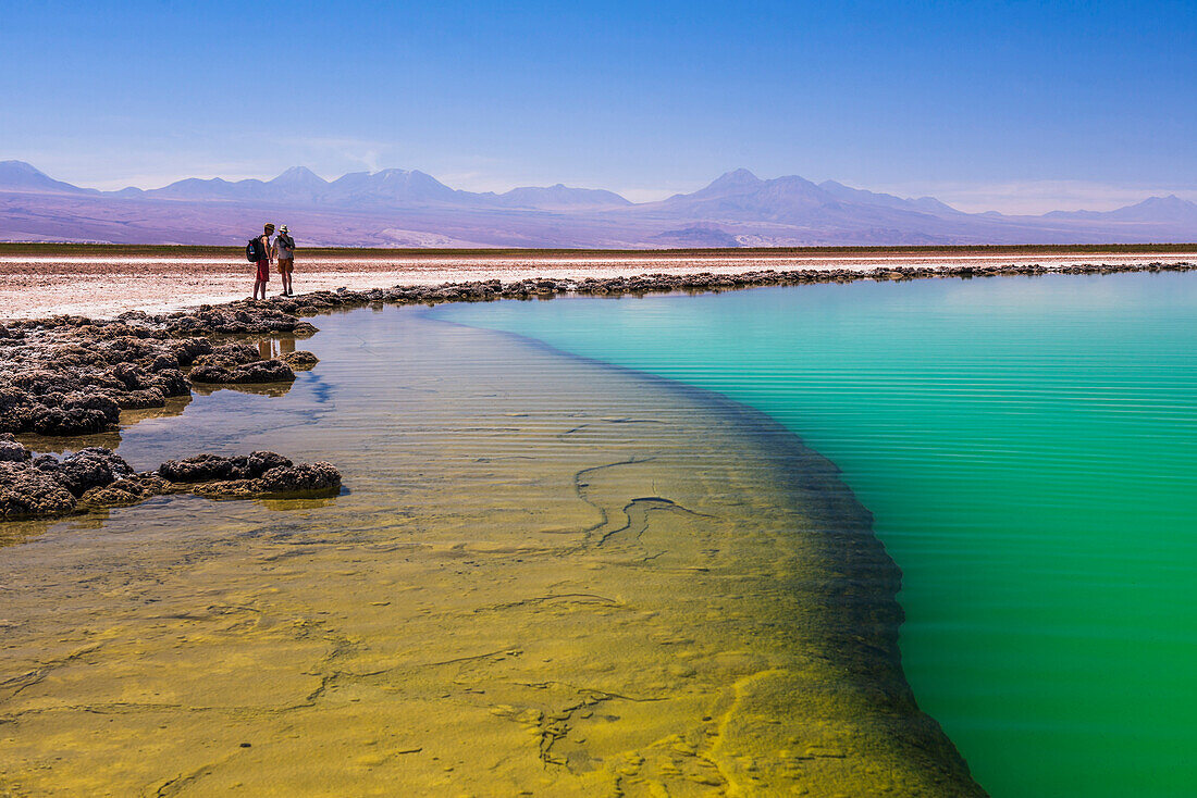 Laguna Cejar floating salt lake lagoon, Atacama Desert, North Chile, Chile, South America